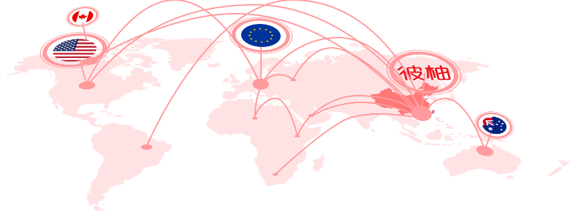 彼柚Bizyul 覆盖国家